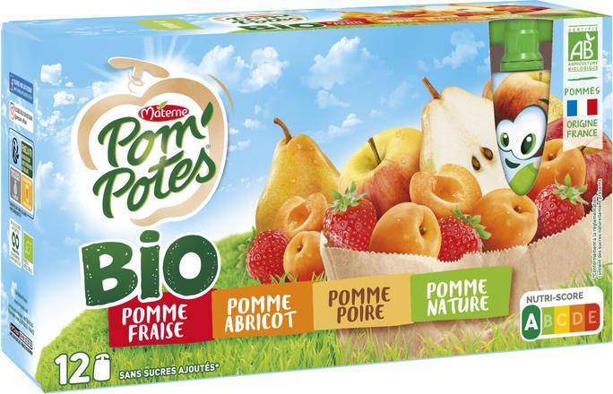 Pom'potes compotes gourdes bio multivariétés 12x90g - materne - 1080g
