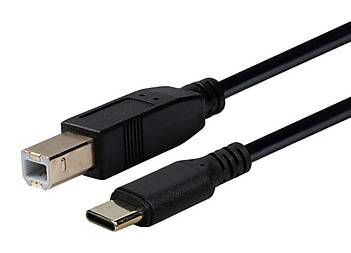 Philips 6' USB-C to USB-B Device Cable, Male to Male, Black (SWL3263B/37)
