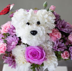 Conroy's Flowers (Compton)