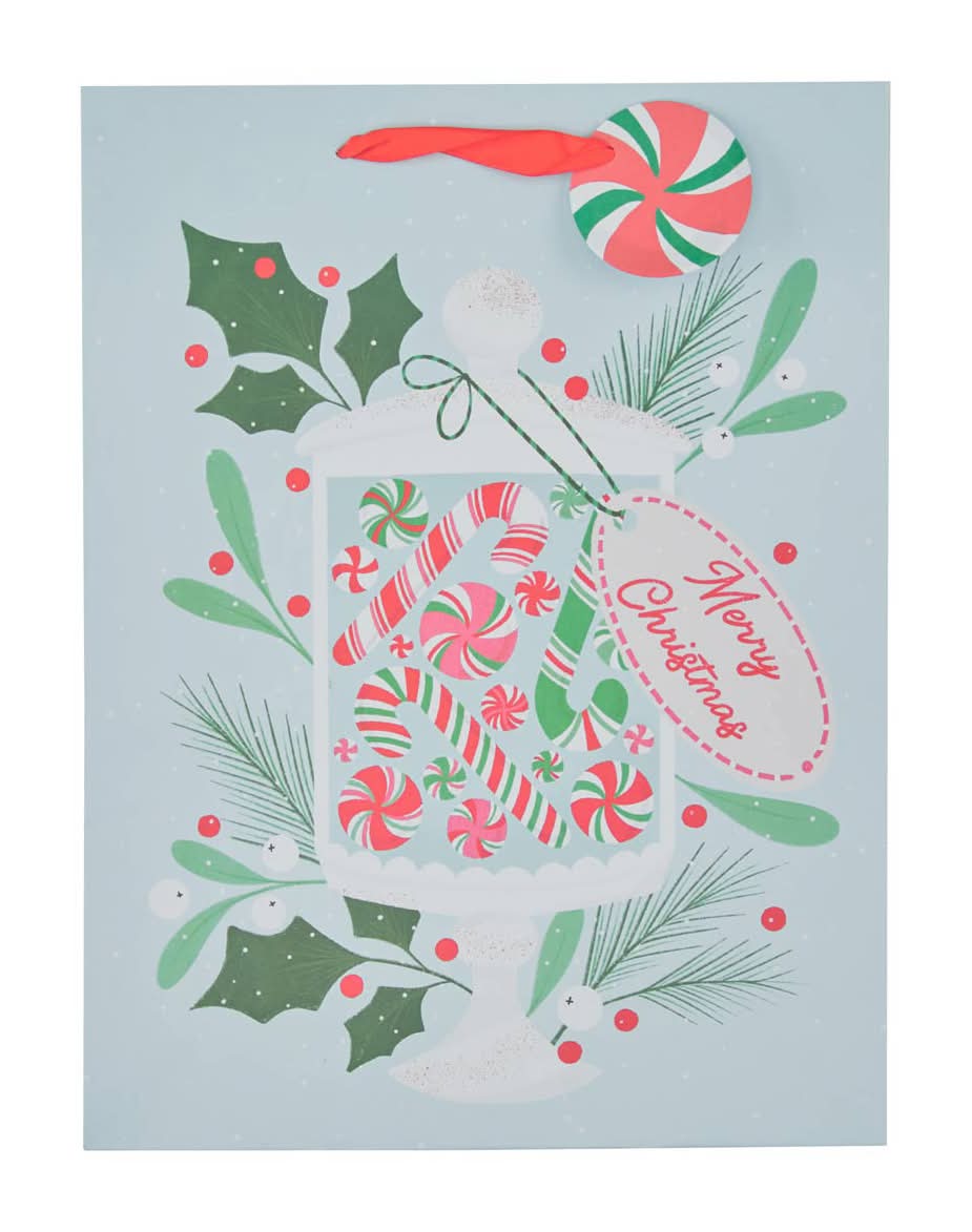 Christmas Gift Bag Large Assorted