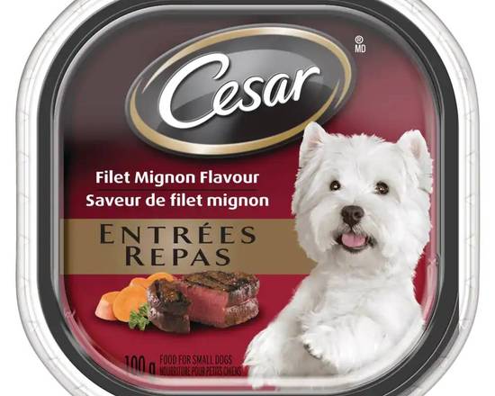 Cesar Filet Mignon Dog Food 100g