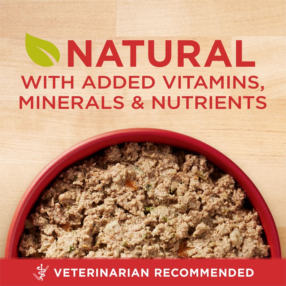 Purina One Healthy Puppy Wet Dog Food Delivery Near Me Order