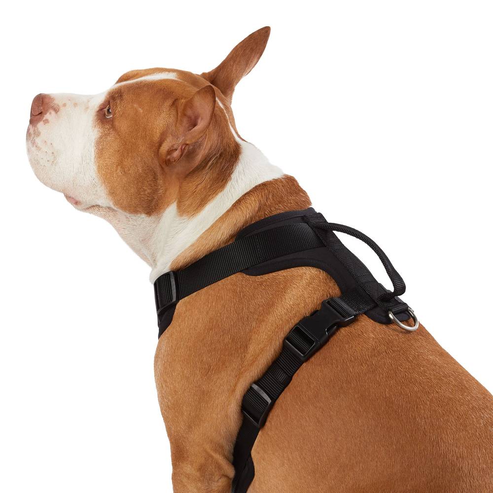 Top Paw Neoprene Comfort Dog Harness, Medium, Black