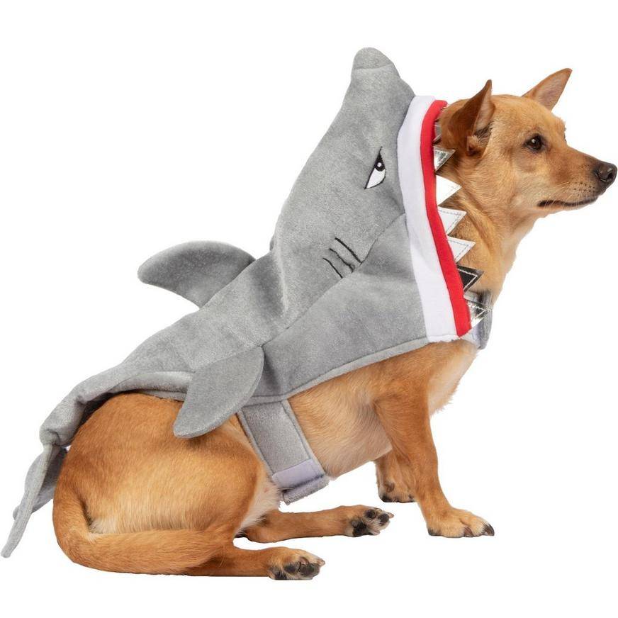 Grumpy Shark Dog Costume - Size - XS/S