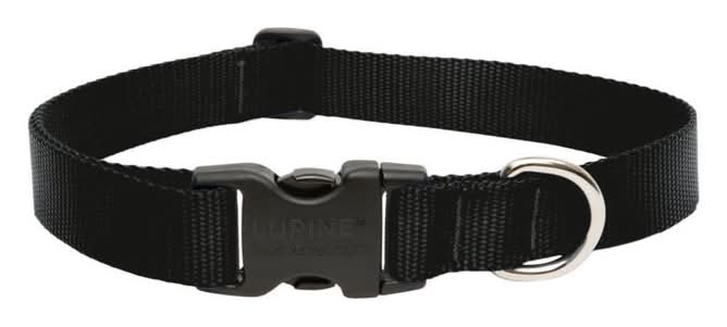Lupinepet Basic Solids Black Black Nylon Dog Adjustable Collar