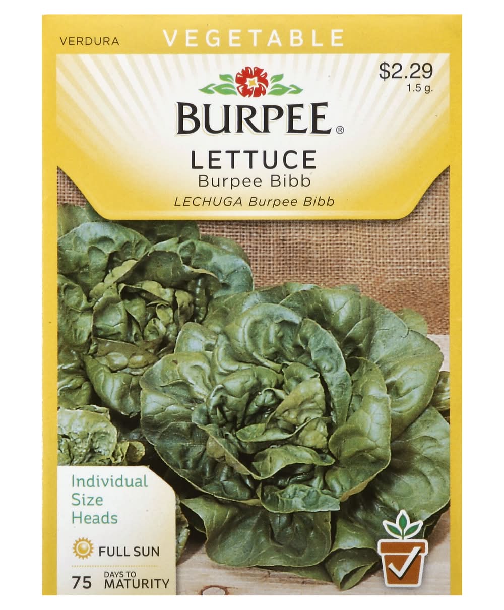 Burpee Bibb Lettuce Seeds