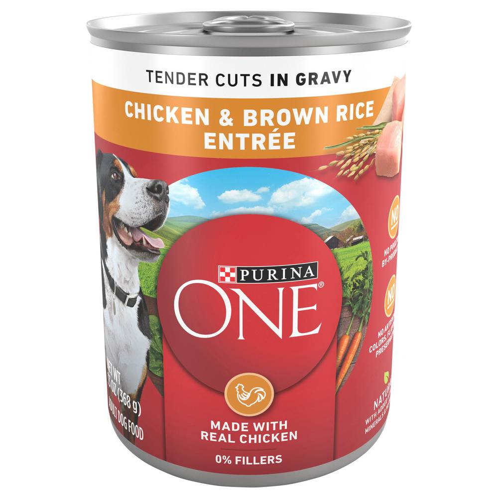 Purina One One Smartblend Chicken & Brown Rice Wet Adult Dog Food (13 oz)