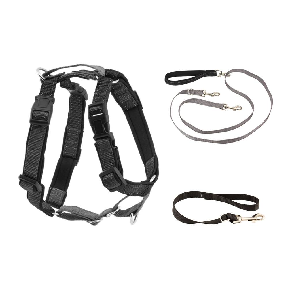 PetSafe® 3 in 1 Harness with Two Point Control Leash (Color: Black, Size: Large)