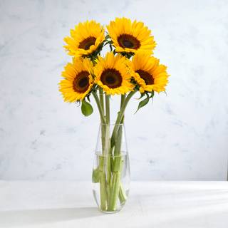 Co-op Sunflower Bouquet