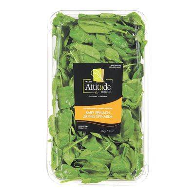 Attitude jeunes épinards (312 g) - baby spinach (312 g)