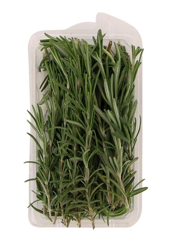 Rock Garden Herbs Fresh Rosemary