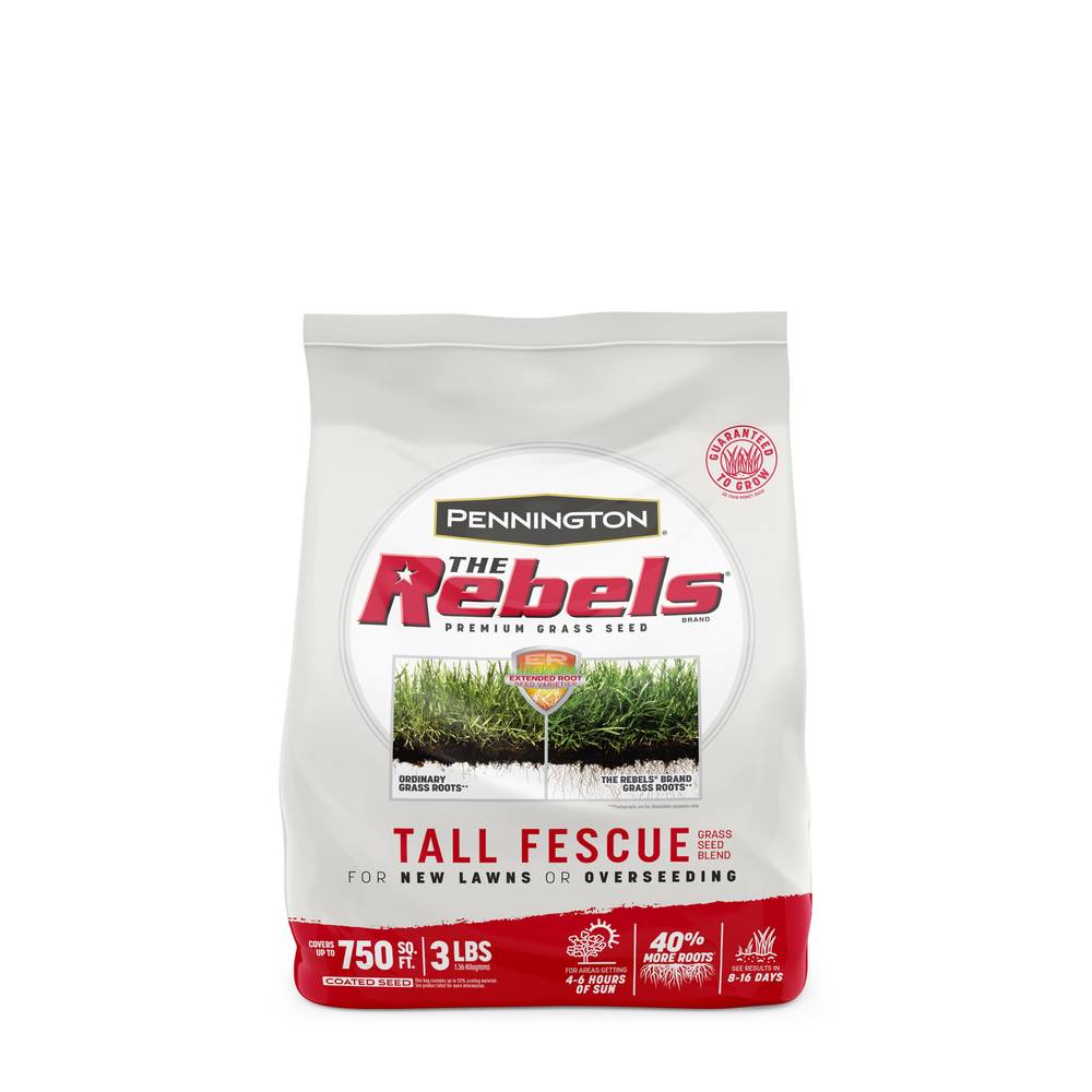 Pennington The Rebels 3-lb Tall Fescue Grass Seed | 100543728