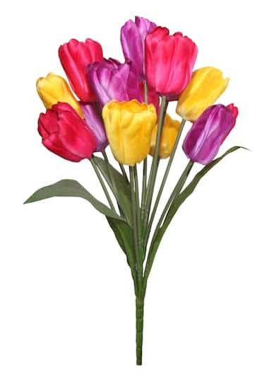 19" Tulip Bush By Ashland