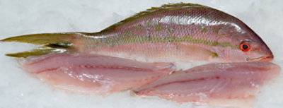 Fish Snapper Red Whole Dressed Fresh - 1 Lb