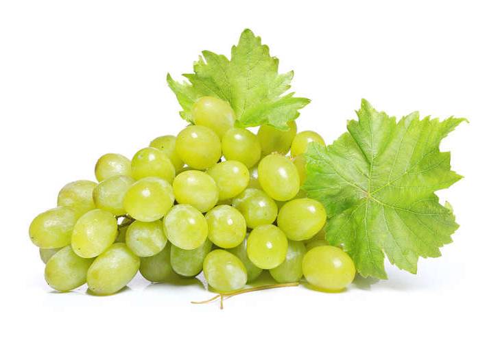 Raisin blanc - Cat.1