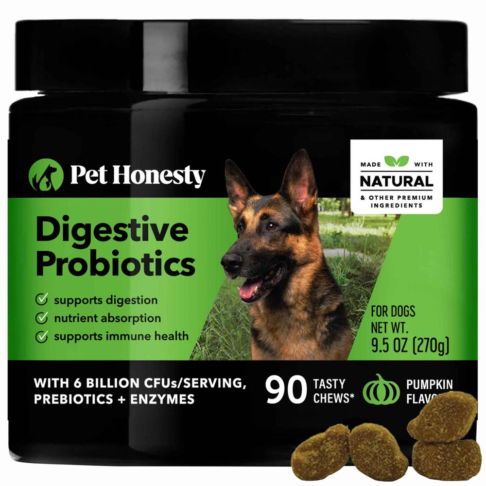 Pet Honesty Pumpkin Digestive Probiotics Dog Soft Chews (9.5 oz, 90 ct)