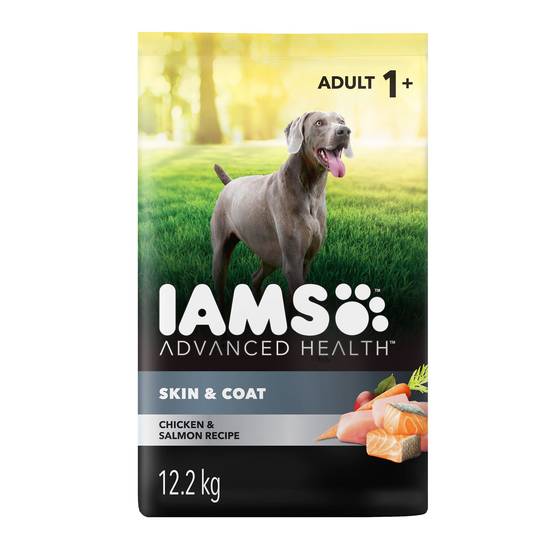 IAMS Advanced Health Adult Dry Dog Food - Skin & Coat Care, Chicken & Salmon (Flavor: Chicken & Salmon, Size: 12.25 Kg)