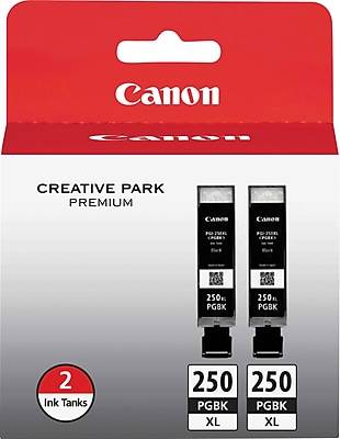 Canon 250XL Black High Yield Ink Cartridge, 2/Pack (6432B004)