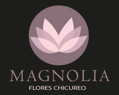 Magnolia Chicureo