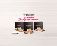 Castaño (Mall Plaza Vespucio)