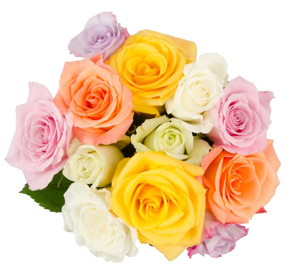 Bloom Haus Rainbow Assorted Roses (12 ct)