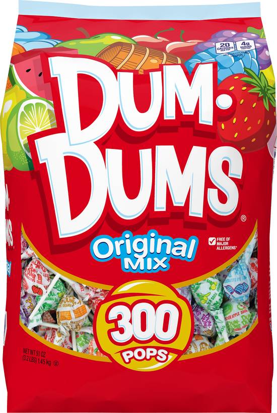 Dum Dums Assorted Flavors Original Pops (300 ct)