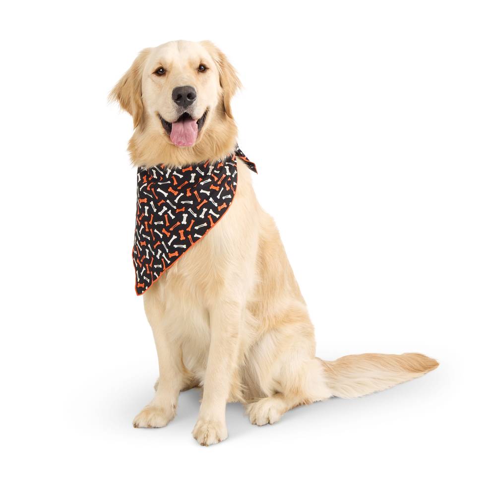 Thrills & Chills Bones Pet Bandana (Color: Black, Size: X Large/2X Large)