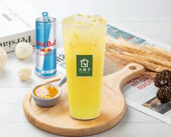 RedBull能量大巨蛋-大杯 RedBull Energy Drink Passion Fruit Mix-Large