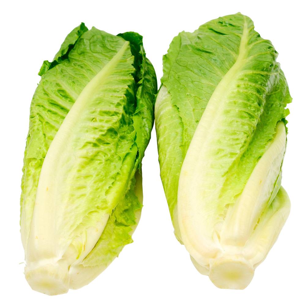 Romaine Hearts 6 Pack