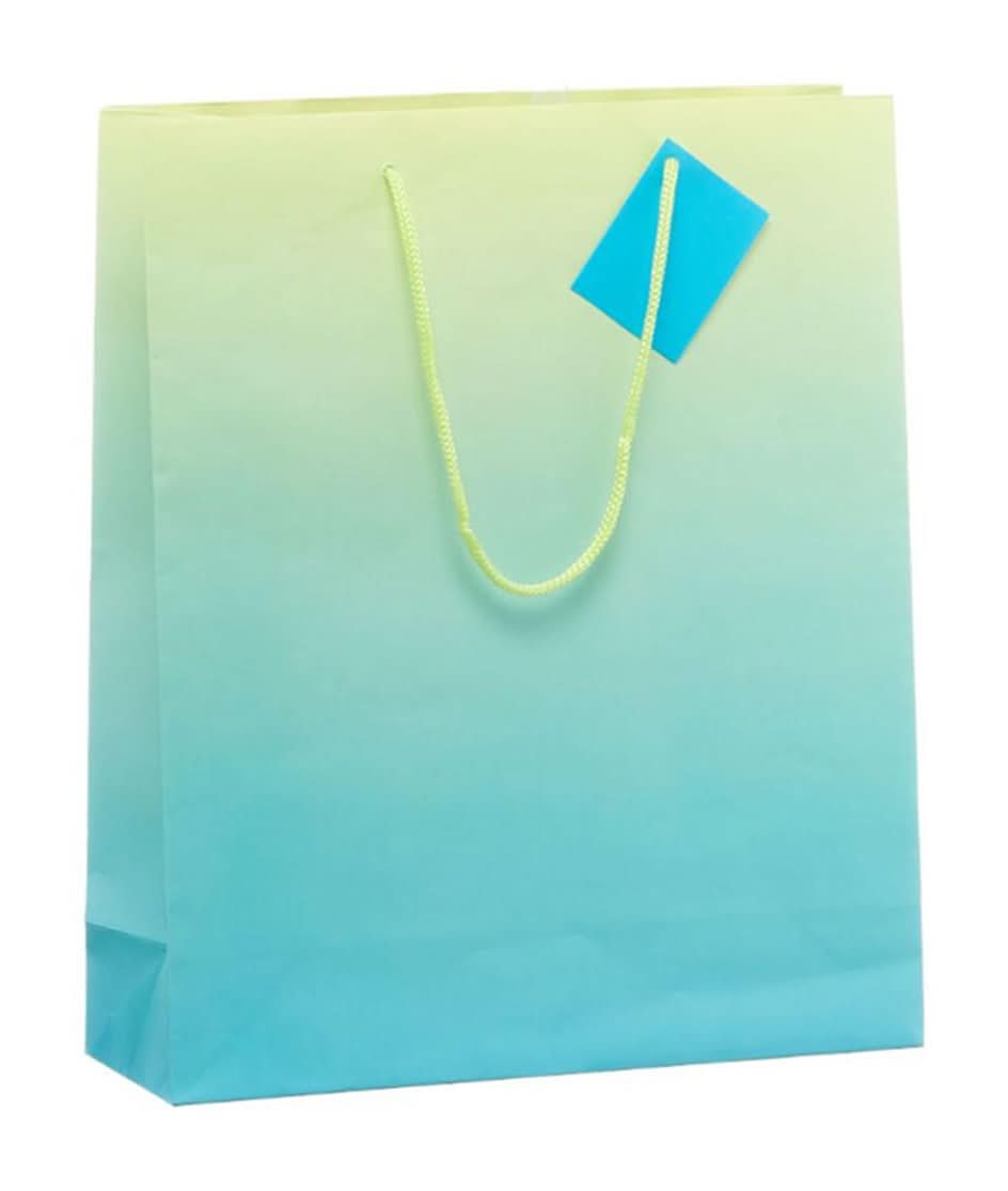 Dg Party Large Ombre Gift Bag Assorted - 1 Ct