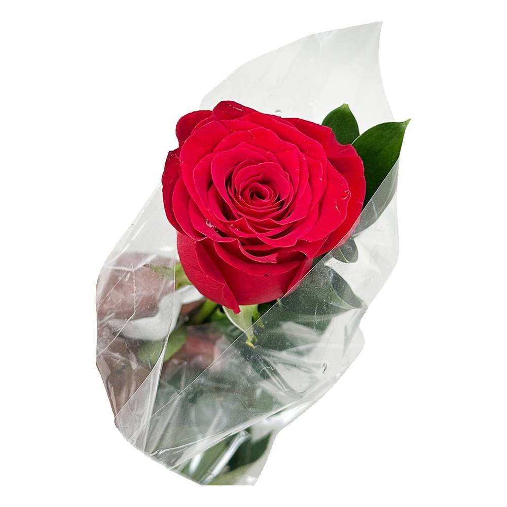 Bouquet With Single Rose