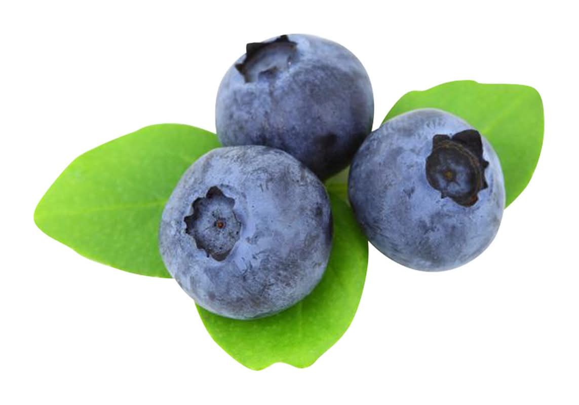 Fresh Blueberries