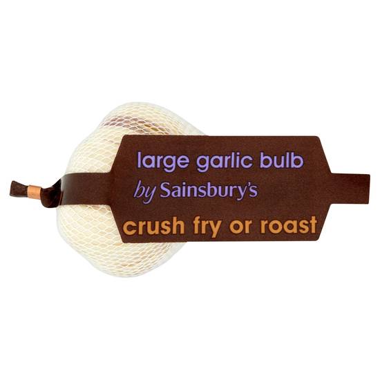 Sainsbury's Large Garlic