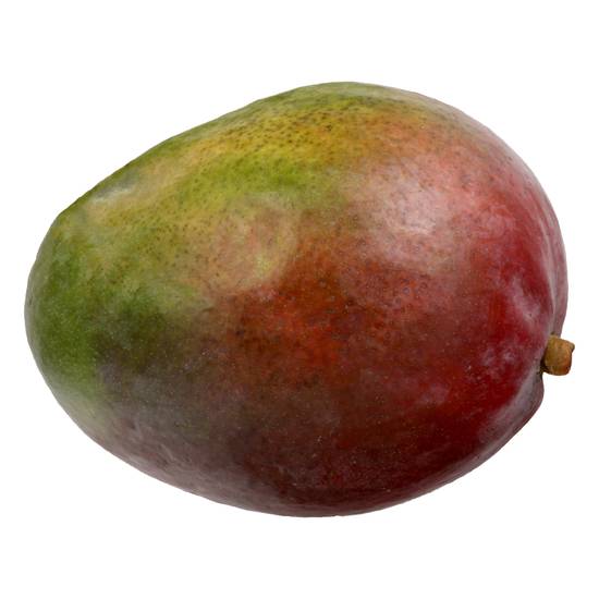 Large Red Mango