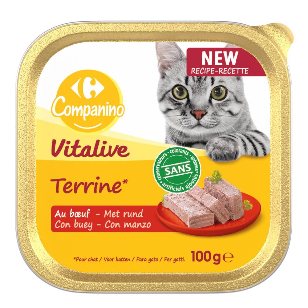 Carrefour Companino - Pâtée pour chat adulte en terrine bœuf vitalive (100g)