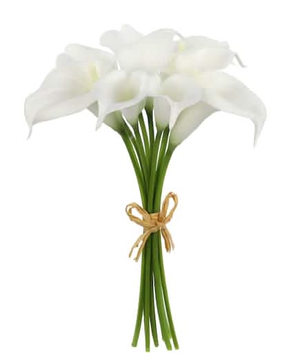 Ashland Calla Lily Bundle, 14", White