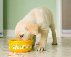 Oldham‘s Pet & Garden Supplies