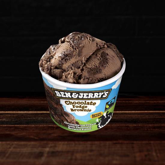 Ben & Jerry's Chocolate Fudge Brownie 🍫🍦