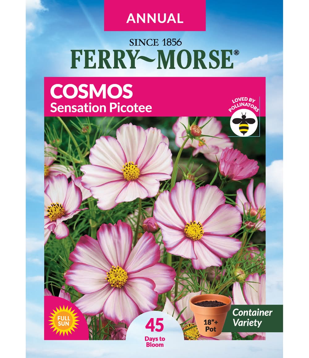 Ferry-Morse A COSMOS SENSATION PICOTEE