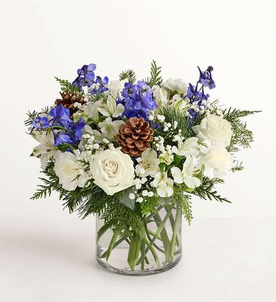 1800Flowers - Winter Wishes [Large]