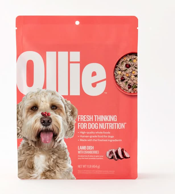 Ollie Fresh Lamb Dish With Cranberries Dog Food (1 lbs)
