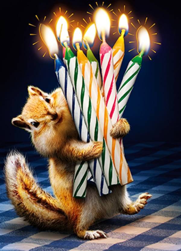 Avanti Card Bday Chipmunk Birthday Cande