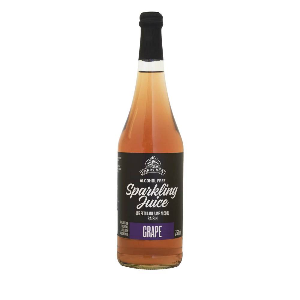 Farm Boy™ Grape Sparkling Juice (750 ml)