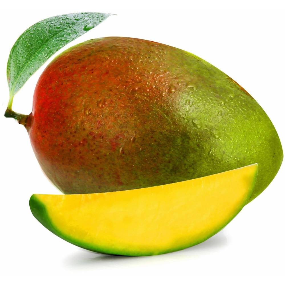 Mangue kent (1 unité)