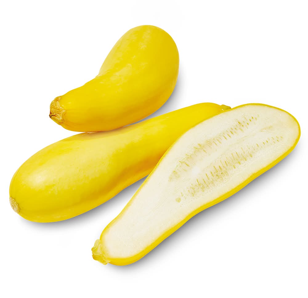 Yellow Squash