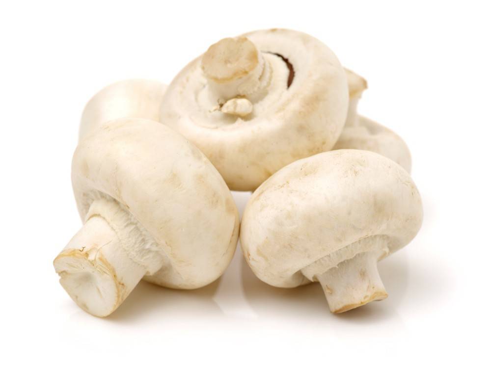 New Moon Whole White Mushrooms (8 oz)