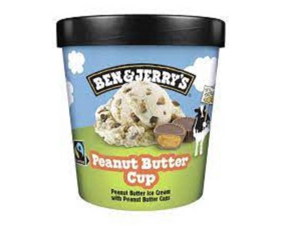 Ben & Jerry's peanut butter cup  🍦