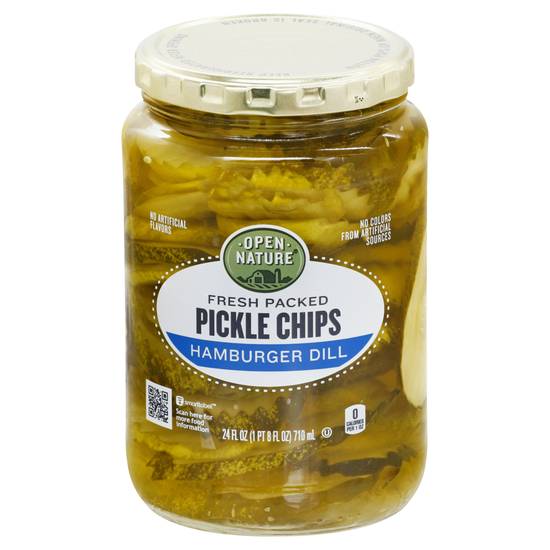 Open Nature Hamburger Dill Pickle Chips