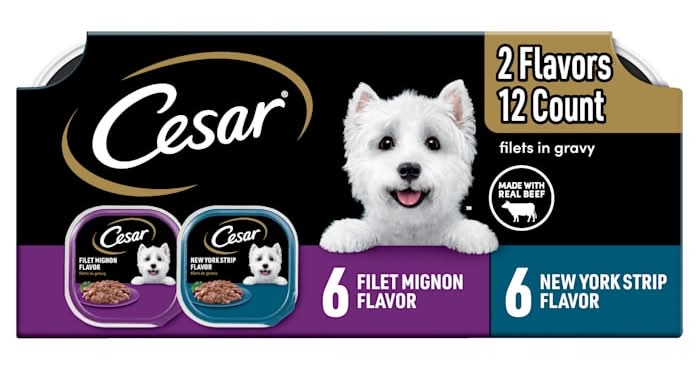 Cesar Filets in Gravy Adult Wet Dog Food, Beef Flavor Variety Pack, 3.5 oz., Count of 12