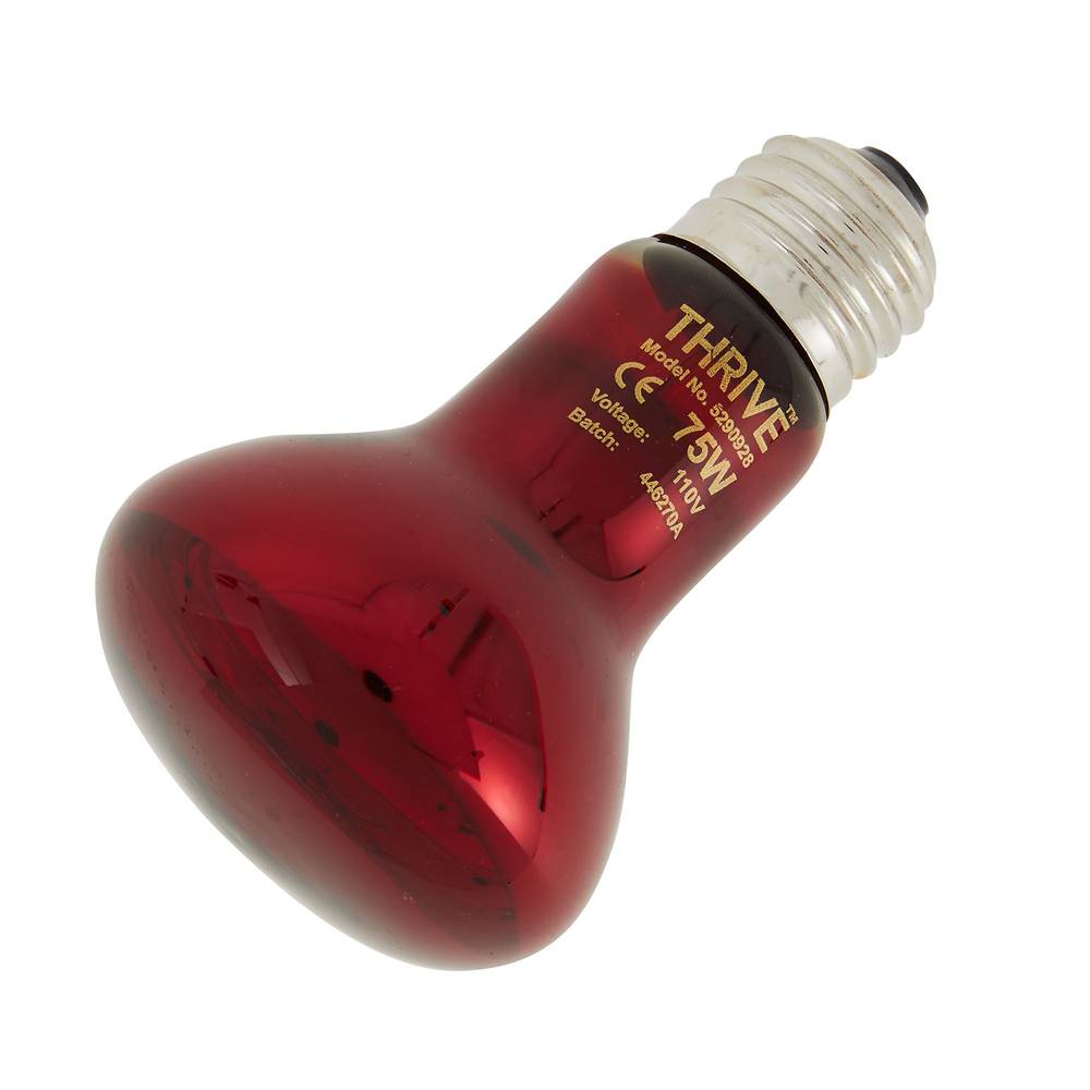 Thrive Nocturnal Infrared Spot Bulb (Size: 75W)